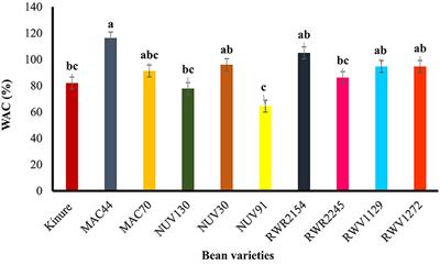 Cooking properties and nutrient retention of biofortified common bean (Phaseolus vulgaris) varieties: The case of Burundi